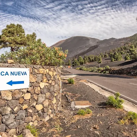 Cerca Nueva *